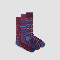 Three-Pair Assorted Sock Box